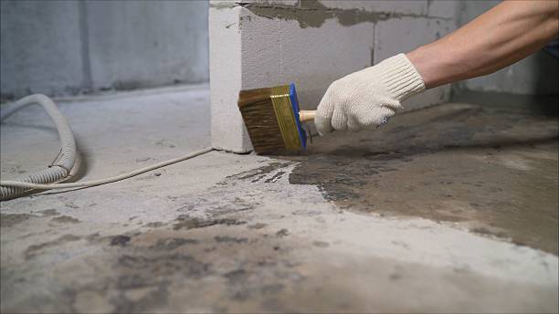 Top rated local Crawl Space Encapsulation specialists in Daleville, VA